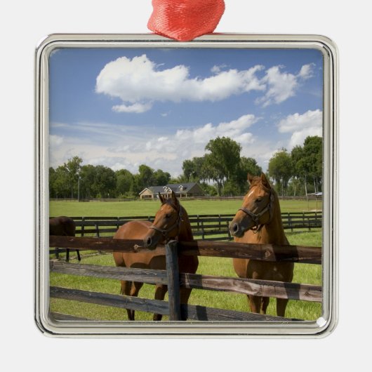 Thoroughbred horse boerderij in Marion County, Metalen Ornament (Voorkant)