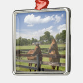 Thoroughbred horse boerderij in Marion County, Metalen Ornament (Links)