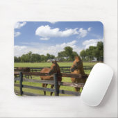 Thoroughbred horse boerderij in Marion County, Muismat (Met muis)