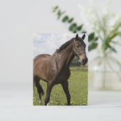 Thoroughbred Horse Briefkaart (Staand voorkant)