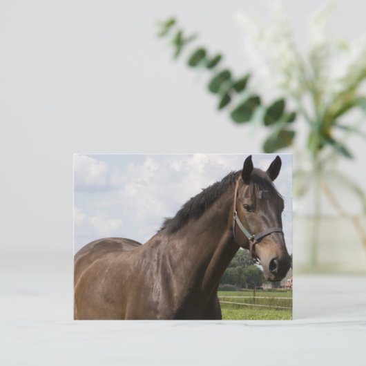 Thoroughbred Horse Briefkaart (Staand voorkant)