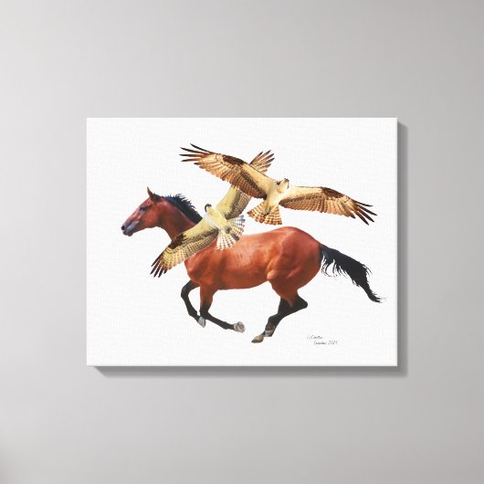Thoroughbred Horse Hawks Canvas Afdruk (Voorkant)