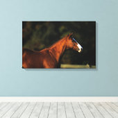 Thoroughbred Horse Headshot Canvas Afdruk (Insitu (Houten vloer))