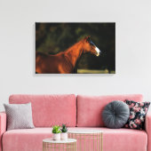 Thoroughbred Horse Headshot Canvas Afdruk (Insitu (Woonkamer))