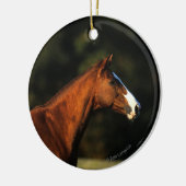 Thoroughbred Horse Headshot Keramisch Ornament (Links)