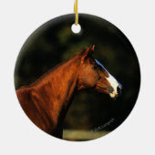 Thoroughbred Horse Headshot Keramisch Ornament (Achterkant)