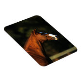 Thoroughbred Horse Headshot Magneet (Rechterzijde)