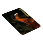 Thoroughbred Horse Headshot Magneet (Rechterzijde)