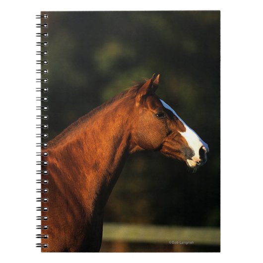 Thoroughbred Horse Headshot Notitieboek (Voorkant)