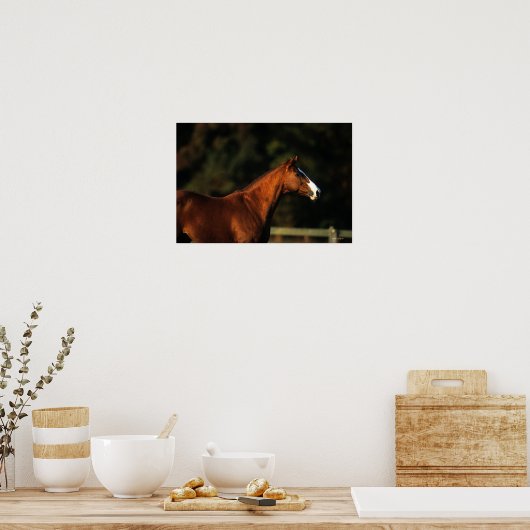 Thoroughbred Horse Headshot Poster (Keuken)