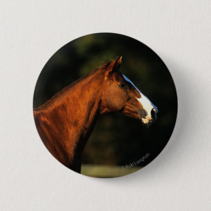 Thoroughbred Horse Headshot Ronde Button 5,7 Cm