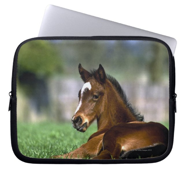 Thoroughbred Horse | Ierland Laptop Sleeve (Voorkant)