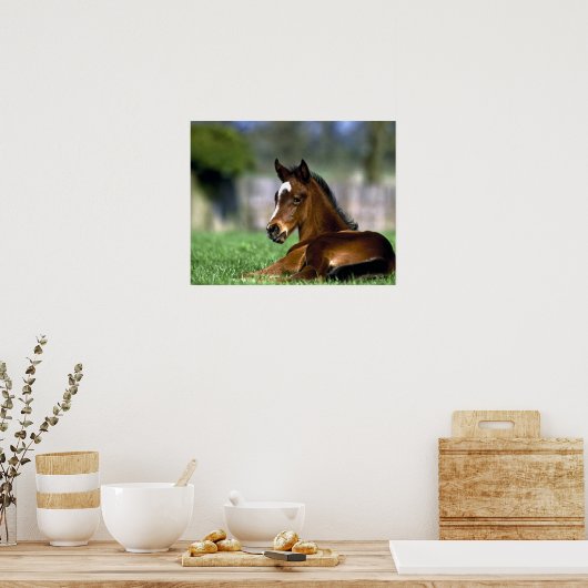 Thoroughbred Horse, Ierland Poster (Keuken)