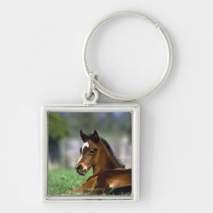 Thoroughbred Horse, Ierland Sleutelhanger