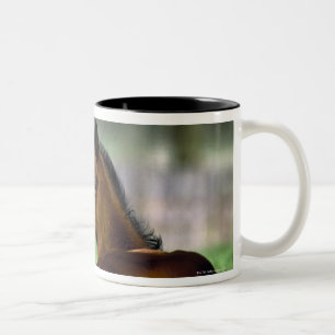 Thoroughbred Horse, Ierland Tweekleurige Koffiemok
