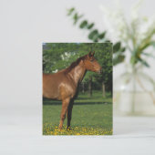 Thoroughbred Horse in Flowers Briefkaart (Staand voorkant)
