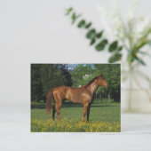 Thoroughbred Horse in Flowers Briefkaart (Staand voorkant)