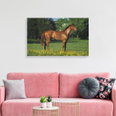 Thoroughbred Horse in Flowers Canvas Afdruk (Insitu (Woonkamer))