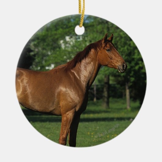 Thoroughbred Horse in Flowers Keramisch Ornament (Voorkant)