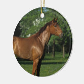 Thoroughbred Horse in Flowers Keramisch Ornament (Links)