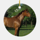 Thoroughbred Horse in Flowers Keramisch Ornament (Achterkant)