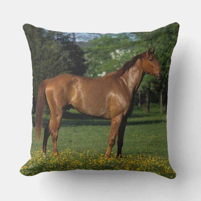 Thoroughbred Horse in Flowers Kussen (Voorkant)