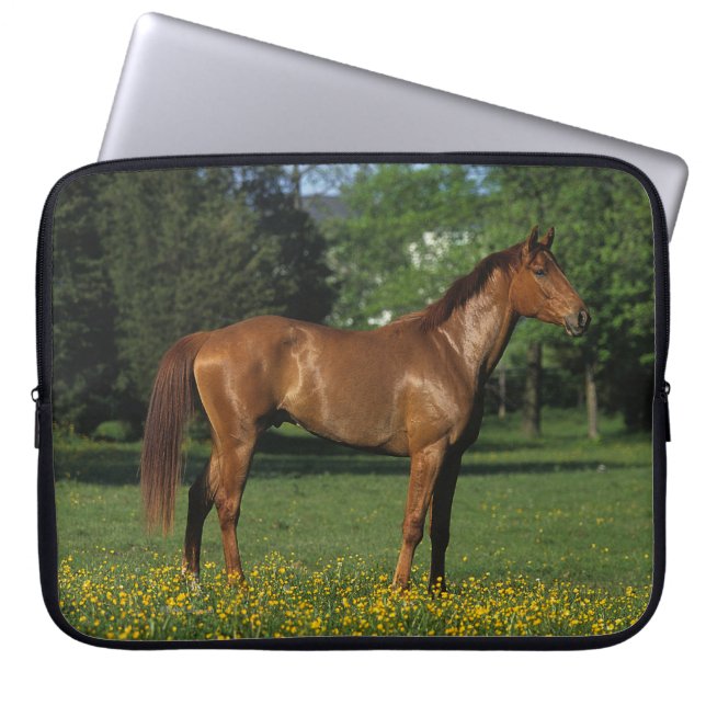 Thoroughbred Horse in Flowers Laptop Sleeve (Voorkant)