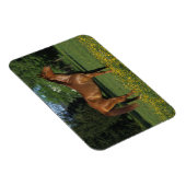 Thoroughbred Horse in Flowers Magneet (Rechterzijde)