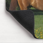 Thoroughbred Horse in Flowers Muismat (Hoek)