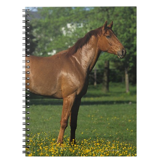 Thoroughbred Horse in Flowers Notitieboek (Voorkant)