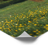 Thoroughbred Horse in Flowers Poster (Hoek)