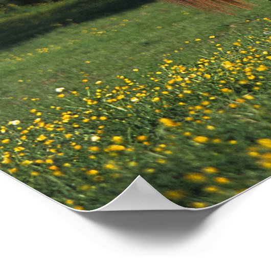 Thoroughbred Horse in Flowers Poster (Hoek)