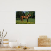 Thoroughbred Horse in Flowers Poster (Keuken)