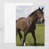 Thoroughbred Horse Invitation Kaart (Voorkant / Achterkant)