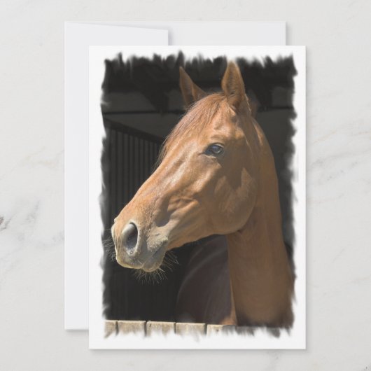 Thoroughbred Horse Invitation Kaart (Voorkant)