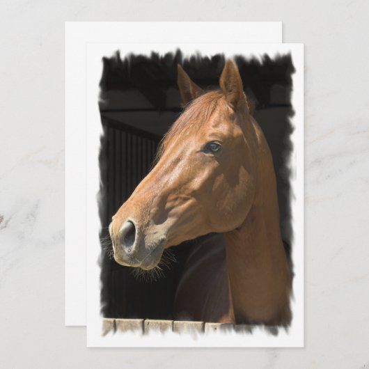 Thoroughbred Horse Invitation Kaart (Voorkant / Achterkant)