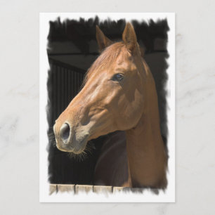 Thoroughbred Horse Invitation Kaart
