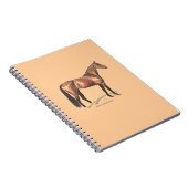 Thoroughbred Horse Notitieboek (Rechterzijde)