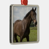 Thoroughbred Horse Ornament (Rechts)