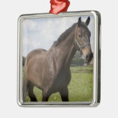 Thoroughbred Horse Ornament (Links)