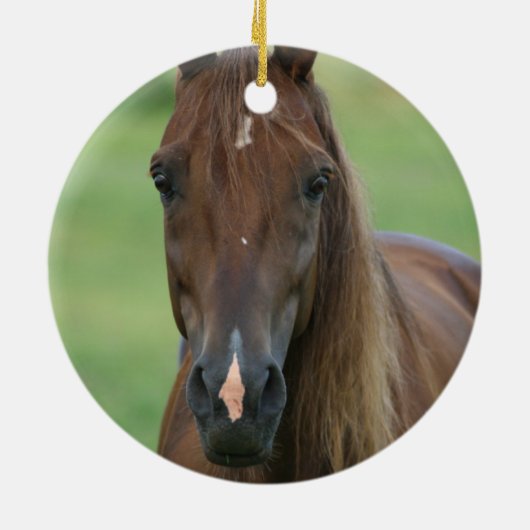 Thoroughbred Horse Photo Ornament (Achterkant)