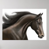 Thoroughbred Horse Poster (Voorkant)