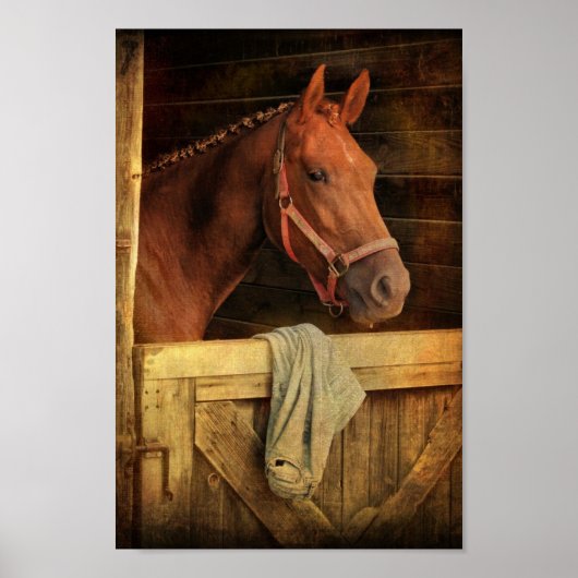 Thoroughbred Horse Poster (Voorkant)