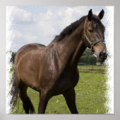 Thoroughbred Horse Print (Voorkant)