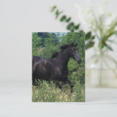 Thoroughbred Horse Runin Grass Briefkaart (Staand voorkant)