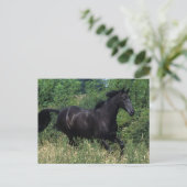 Thoroughbred Horse Runin Grass Briefkaart (Staand voorkant)
