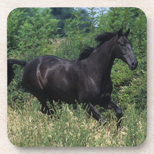 Thoroughbred Horse Runin Grass Drankjes Onderzetter (Voorkant)