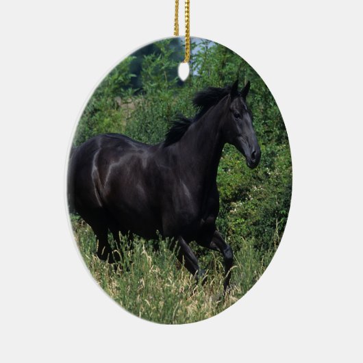 Thoroughbred Horse Runin Grass Keramisch Ornament (Rechts)