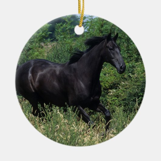 Thoroughbred Horse Runin Grass Keramisch Ornament (Voorkant)