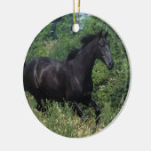 Thoroughbred Horse Runin Grass Keramisch Ornament (Links)